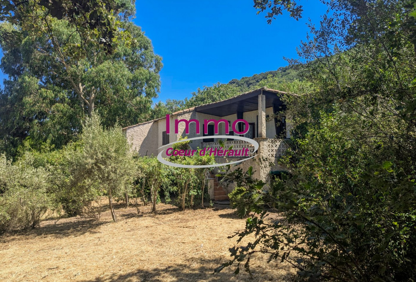 vente Maison Le Bosc - Photo 2