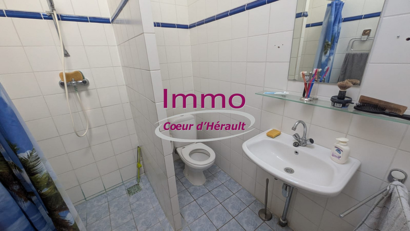 vente Maison de village Le Pouget - Photo 9