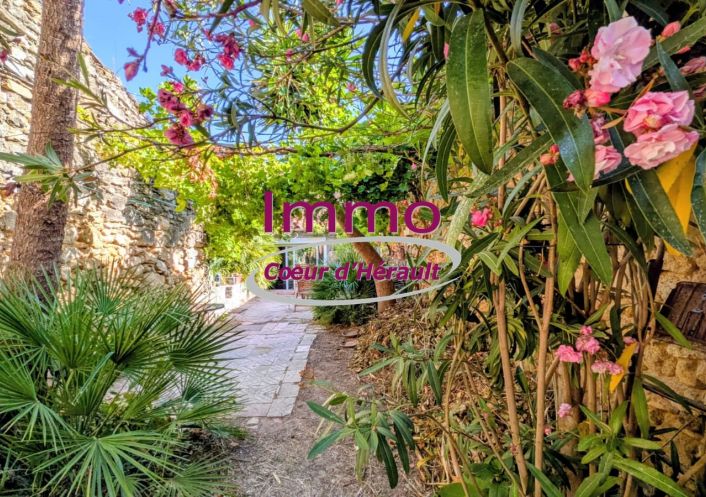vente Maison de village Le Pouget