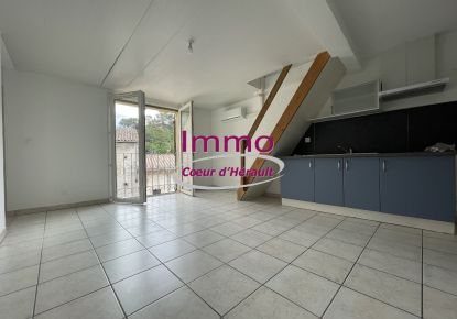 location Appartement Lodeve