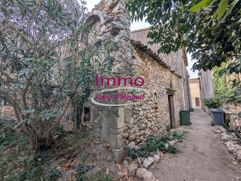 vente Remise en pierre Montpeyroux - Photo 2