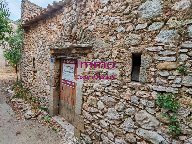 vente Remise en pierre Montpeyroux - Photo 1