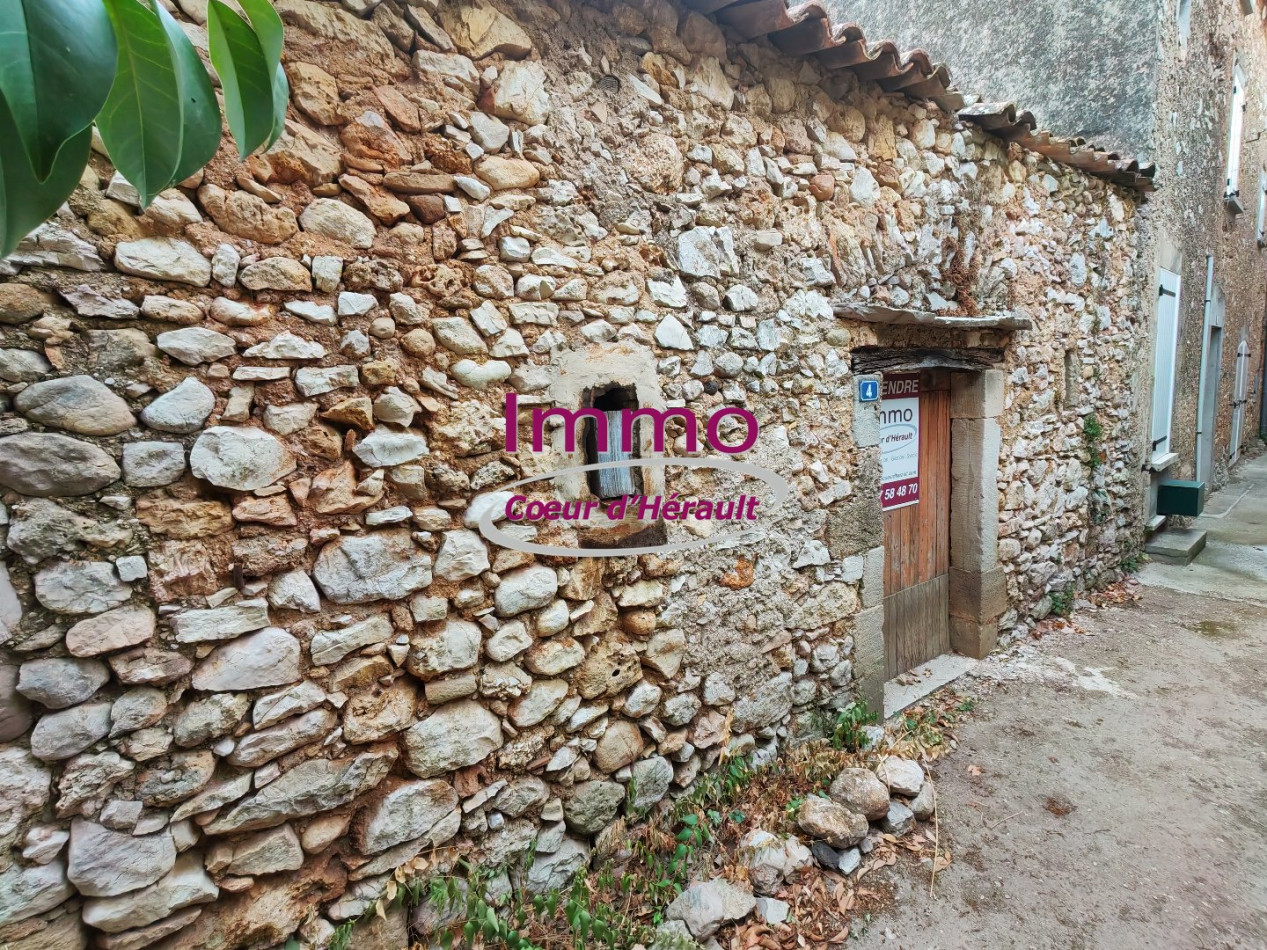 vente Remise en pierre Montpeyroux - Photo 3