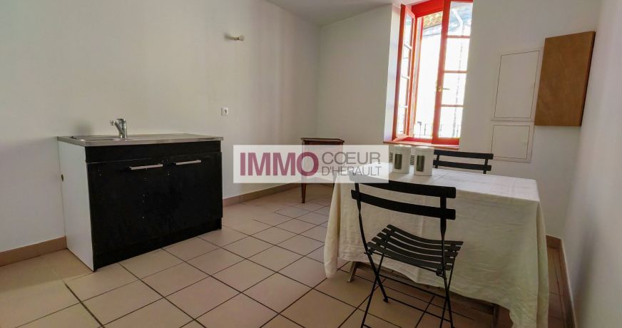 vente Maison Montpeyroux