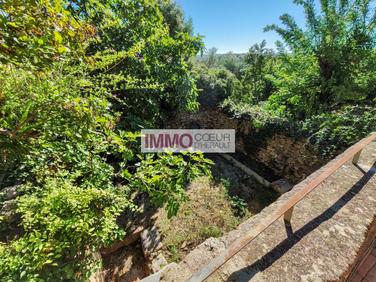 vente Maison Montpeyroux - Photo 5
