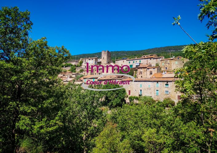 vente Maison de village Saint Privat