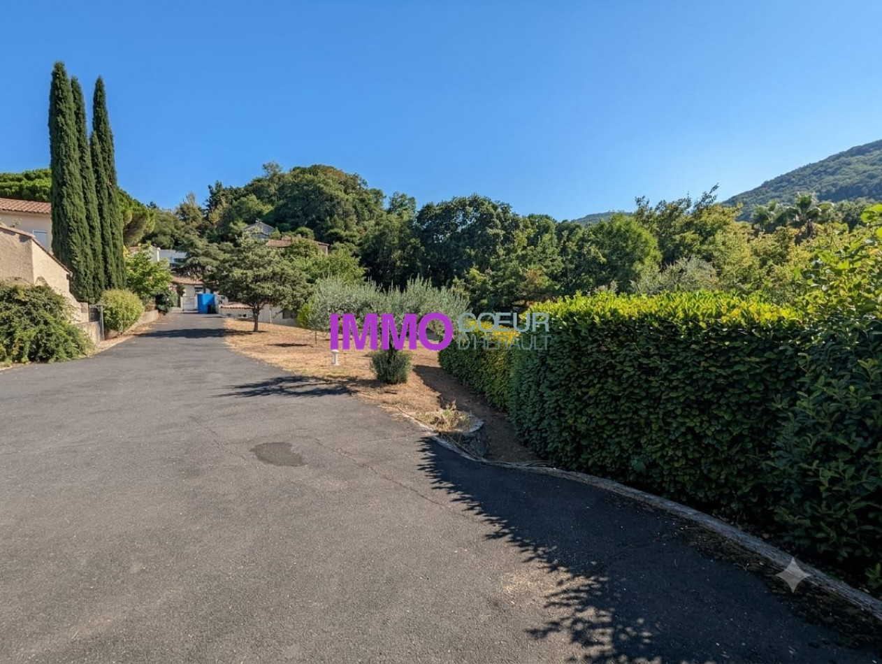 vente Maison et dépendances Lodeve - Photo 8