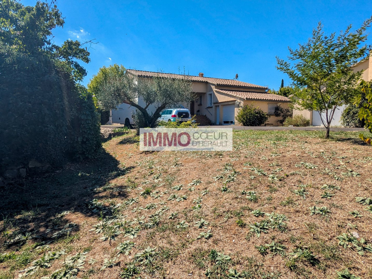 vente Maison et dépendances Lodeve - Photo 3