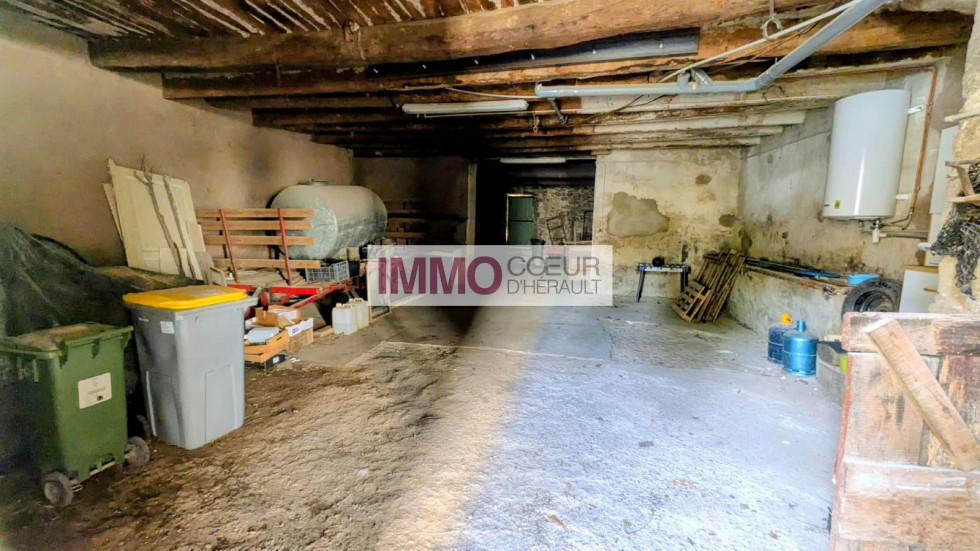 vente Maison vigneronne Plaissan - Photo 8