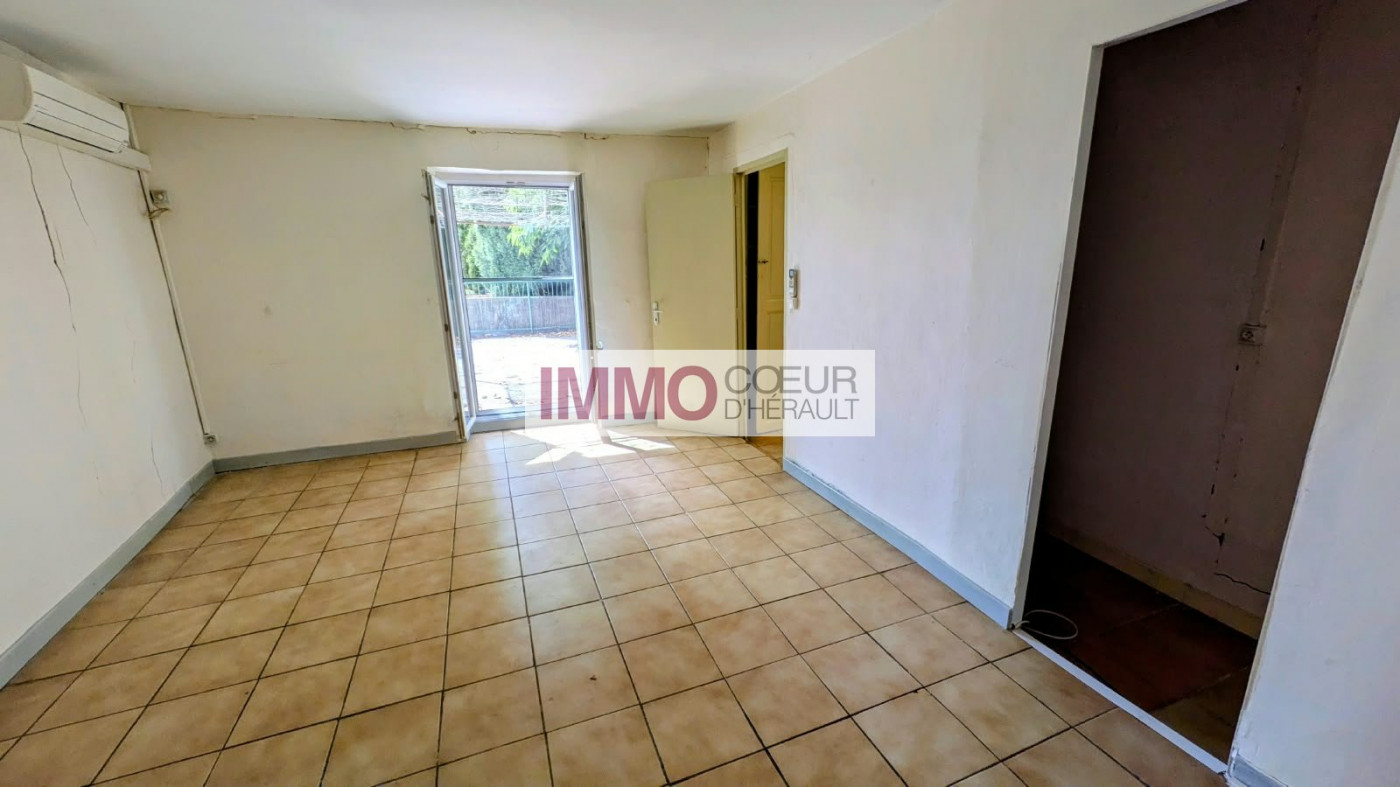 vente Maison vigneronne Plaissan - Photo 6