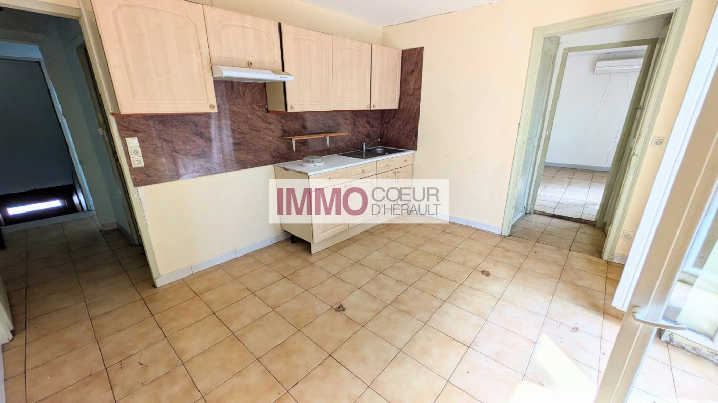 vente Maison vigneronne Plaissan - Photo 4