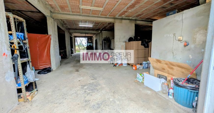 vente Maison vigneronne Saint Andre De Sangonis