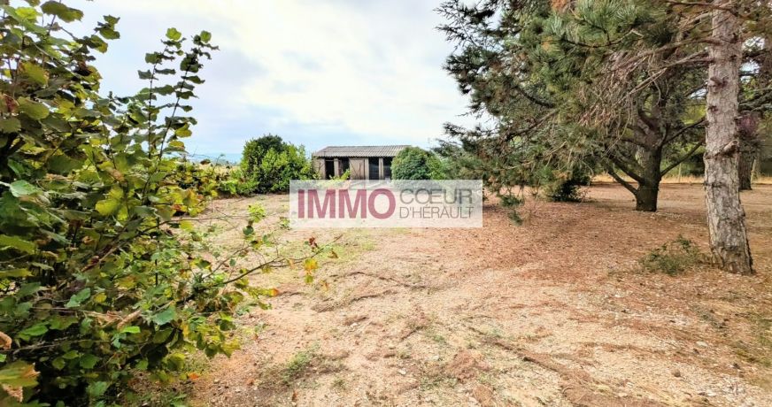 vente Maison vigneronne Saint Andre De Sangonis