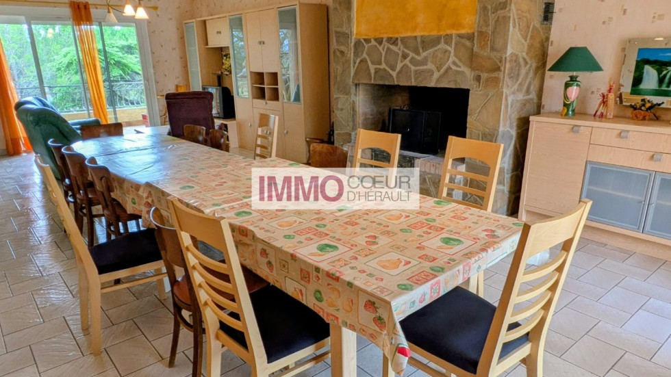 vente Maison vigneronne Saint Andre De Sangonis - Photo 6