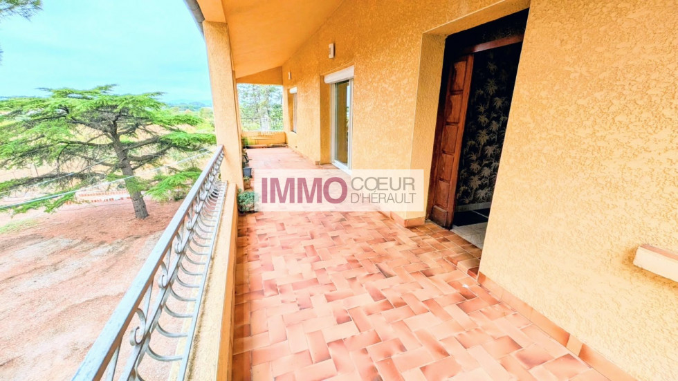 vente Maison vigneronne Saint Andre De Sangonis - Photo 2