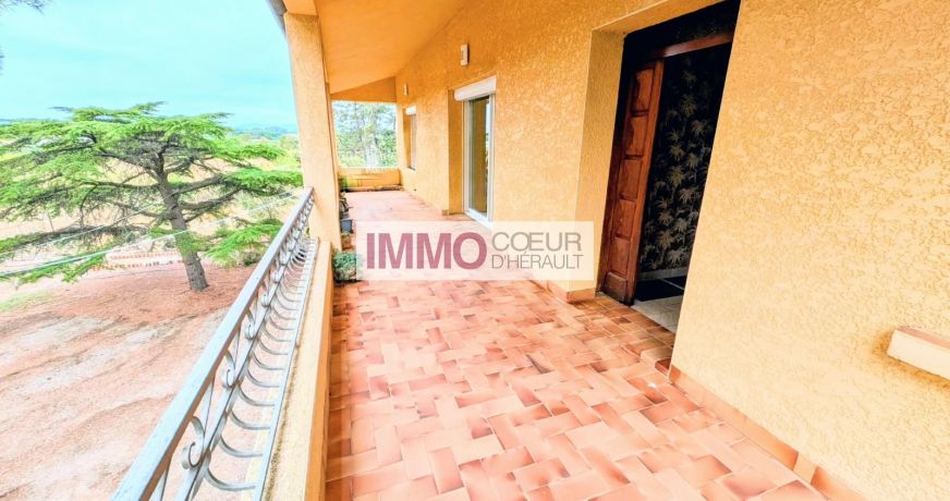vente Maison vigneronne Saint Andre De Sangonis