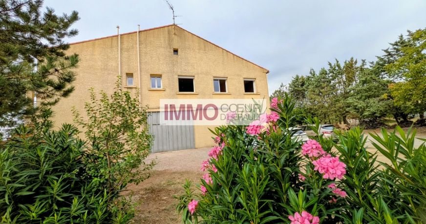 vente Maison vigneronne Saint Andre De Sangonis