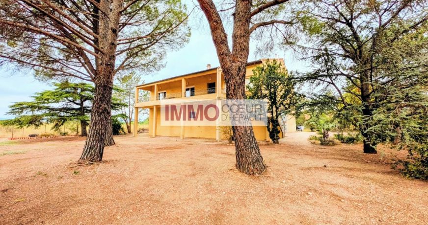vente Maison vigneronne Saint Andre De Sangonis