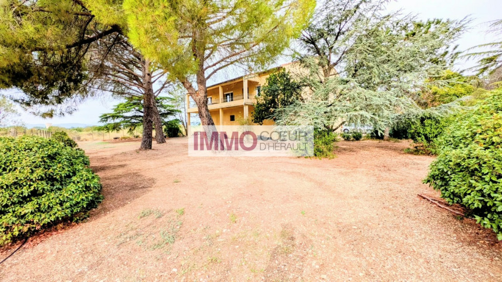 vente Maison vigneronne Saint Andre De Sangonis - Photo 1