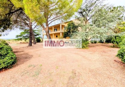 vente Maison vigneronne Saint Andre De Sangonis