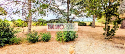 vente Maison vigneronne Saint Andre De Sangonis