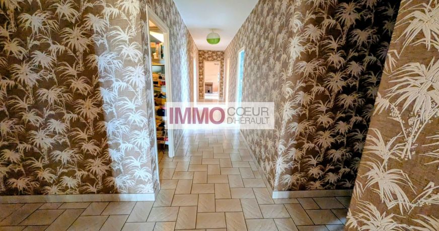 vente Maison vigneronne Saint Andre De Sangonis