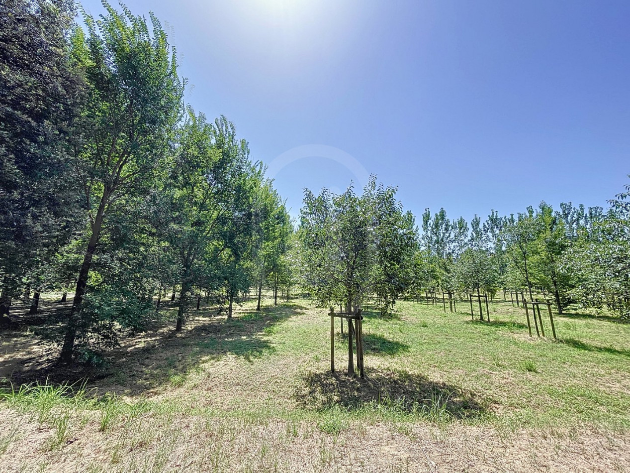 vente Appartement Montpellier - Photo 8