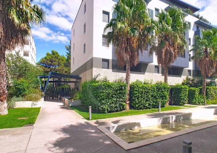 vente Appartement Montpellier
