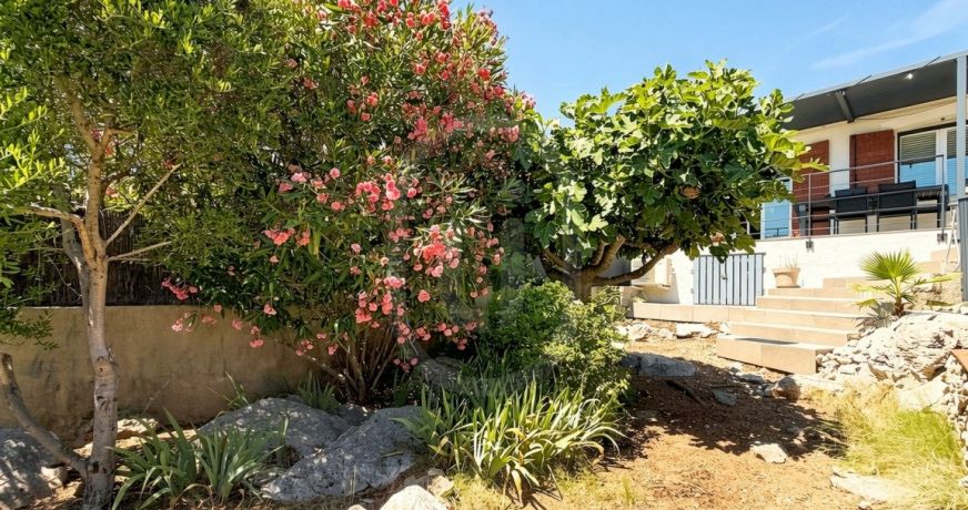 vente Appartement Castelnau Le Lez