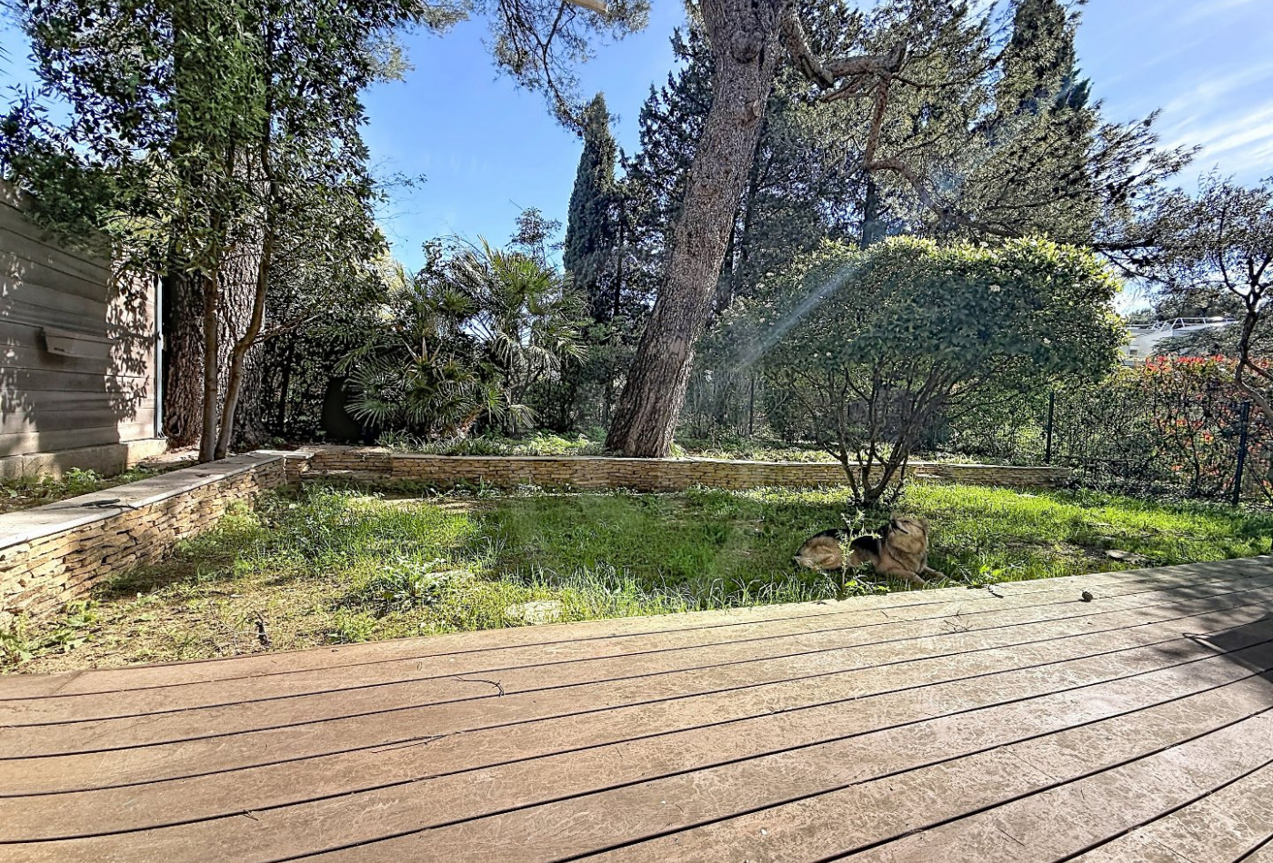 vente Appartement Montpellier - Photo 2