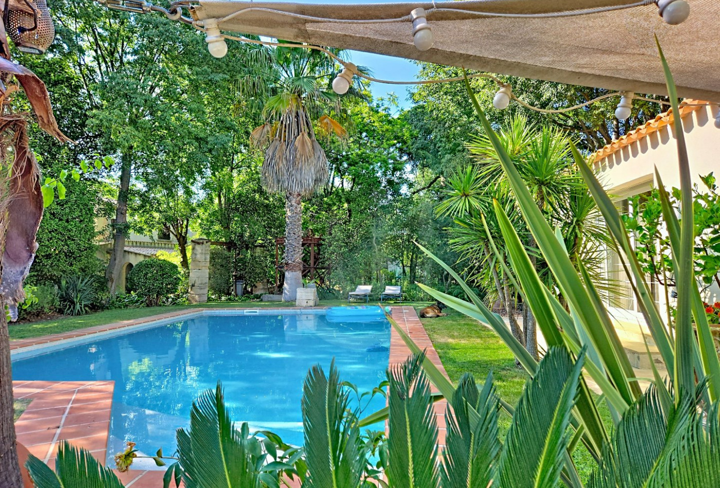 vente Maison de caractère Montpellier - Photo 1