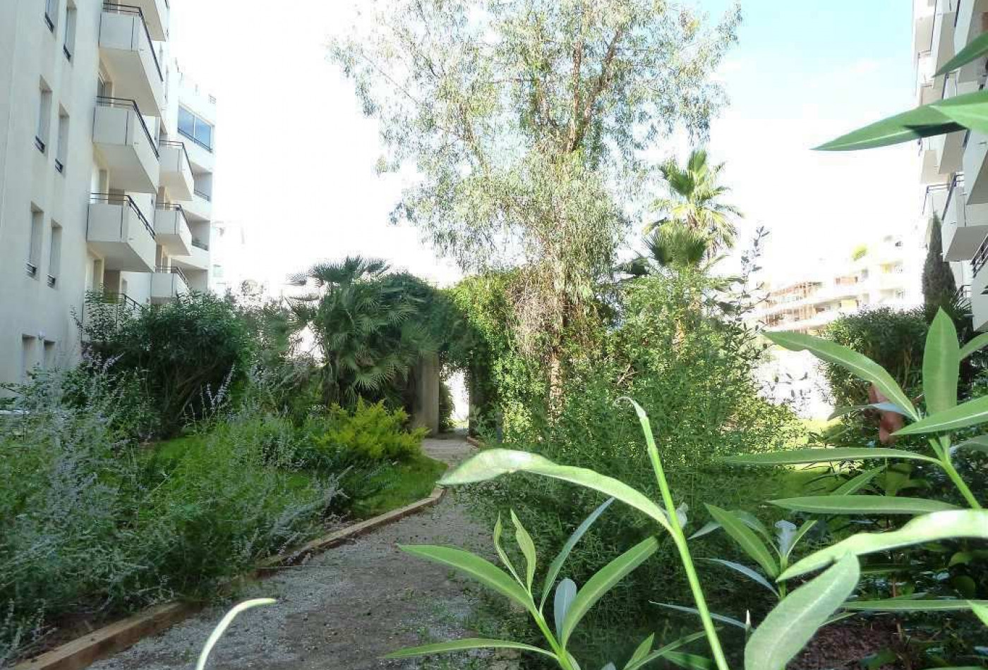 location Appartement en résidence Montpellier - Photo 10