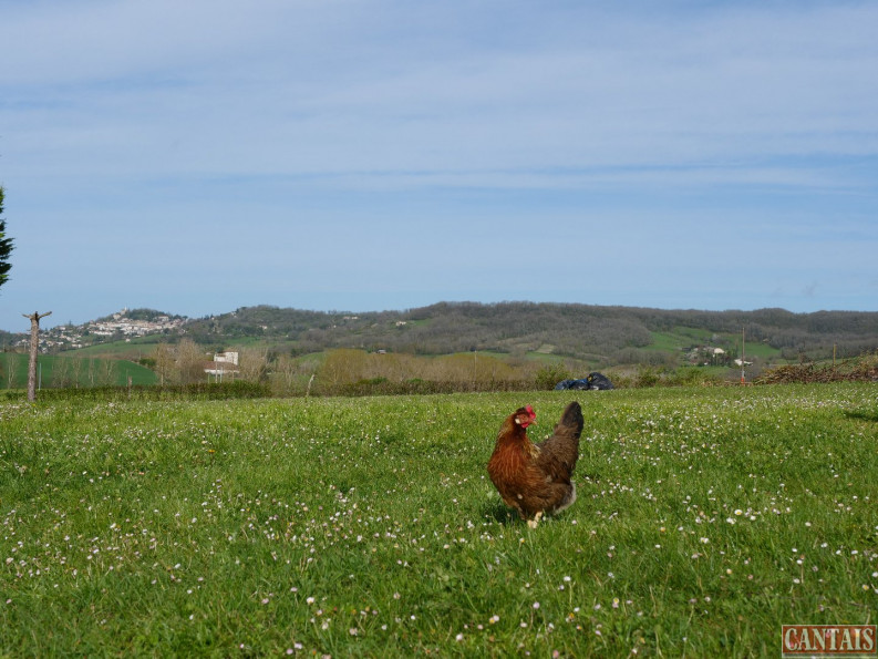vente Gîte Agen - Photo 4