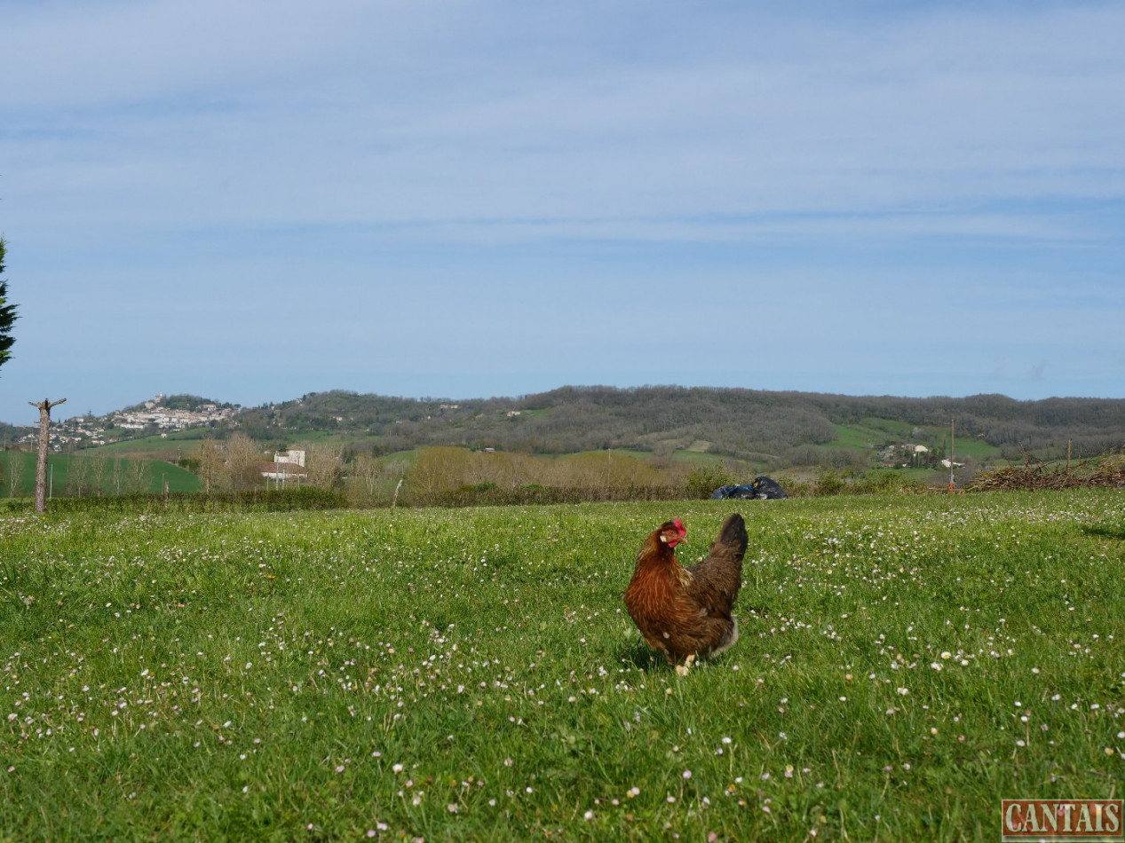 à vendre Gîte Agen - Photo 4
