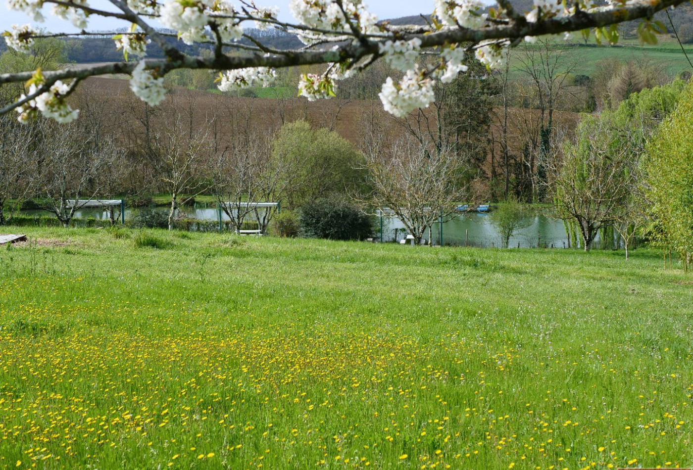 vente Gîte Agen - Photo 6