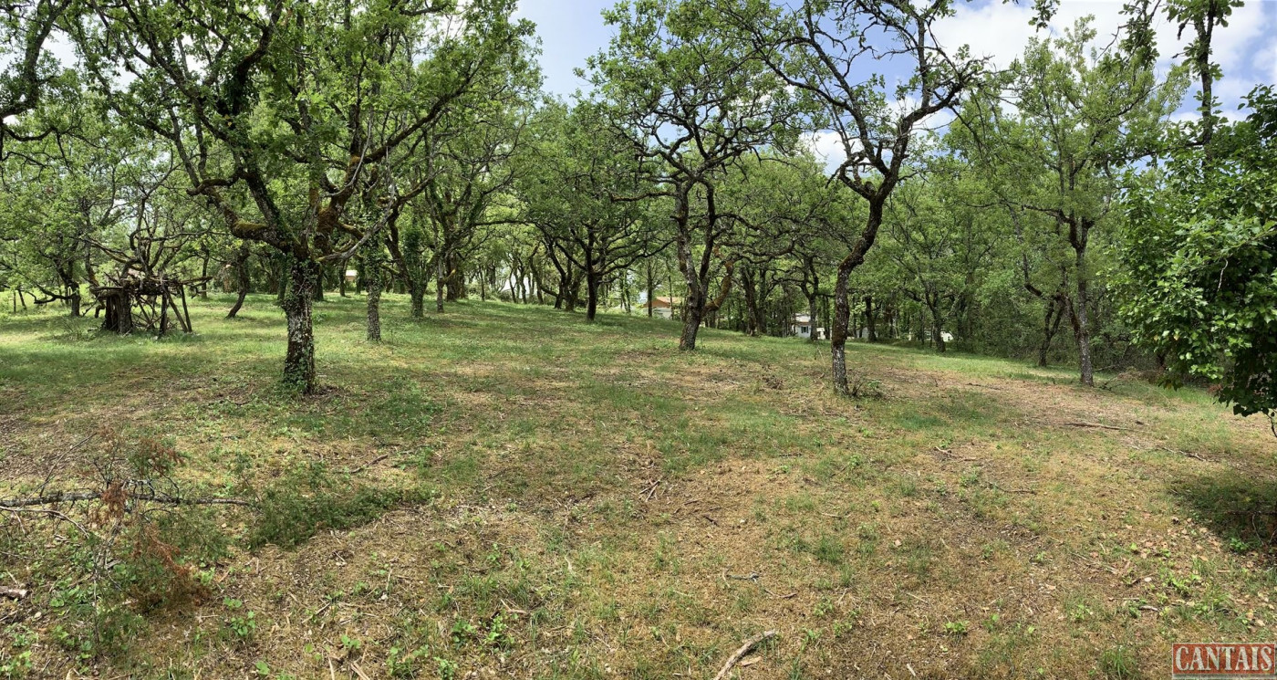 à vendre Camping Montauban - Photo 2