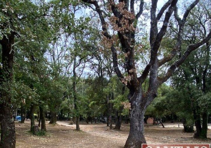 vente Camping Vallon Pont D'arc