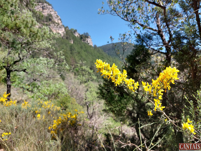 vente Camping Valence - Photo 2