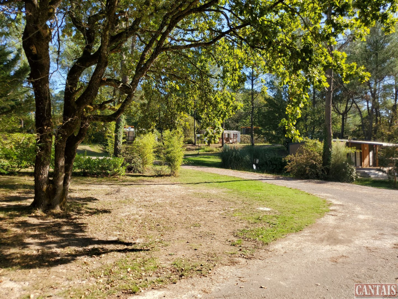 à vendre Camping Sarlat La Caneda - Photo 3