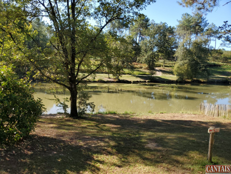 vente Camping Sarlat La Caneda - Photo 1