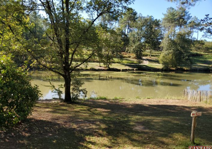 à vendre Camping Sarlat La Caneda