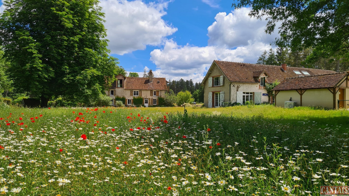 à vendre Gîte Blois - Photo 1