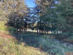 vente Camping Carcassonne