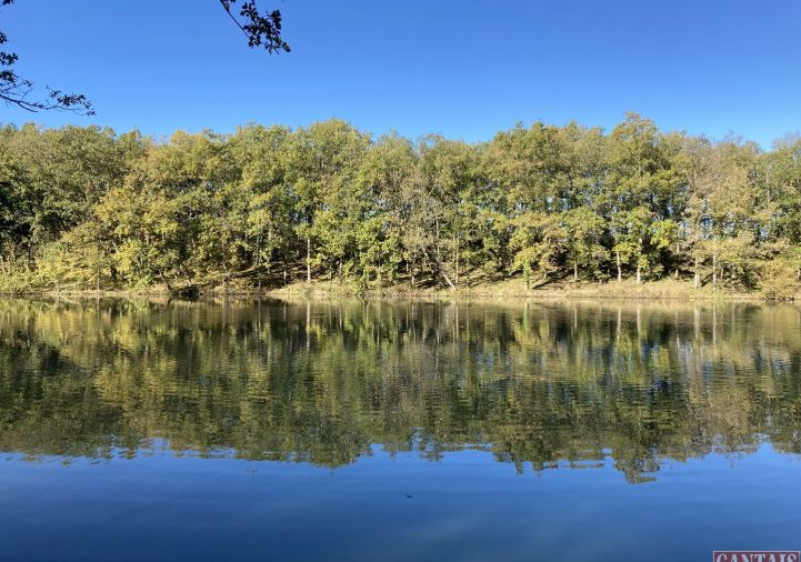 vente Camping Carcassonne