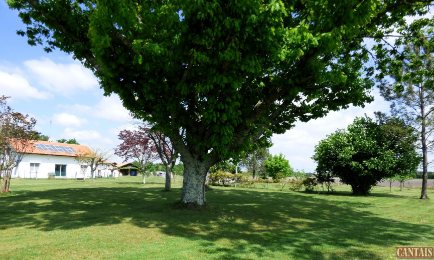 vente Gîte Mont De Marsan - Photo 2