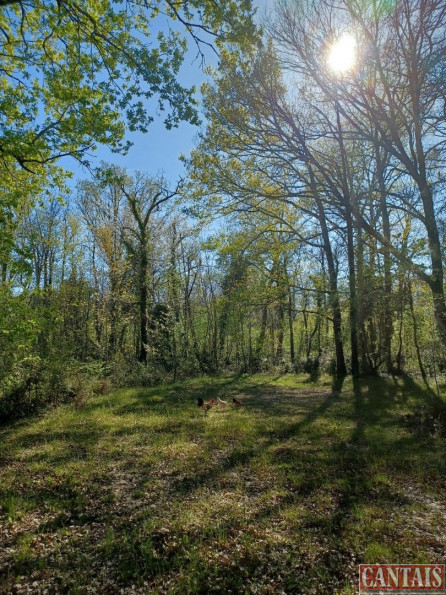 vente Camping Toulouse - Photo 4