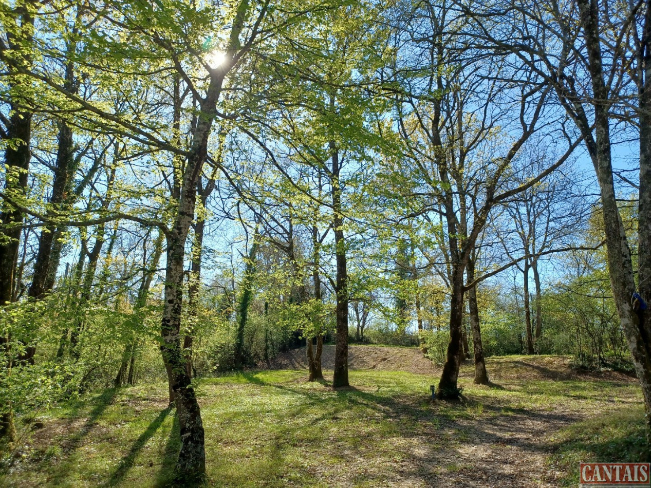 à vendre Camping Toulouse - Photo 1