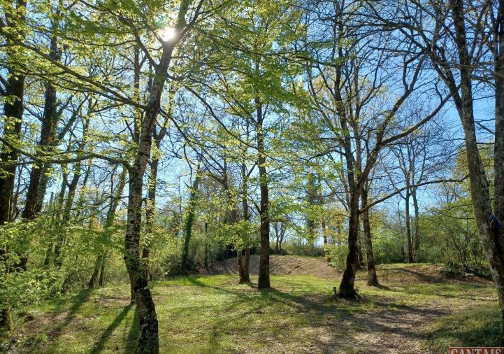 vente Camping Toulouse