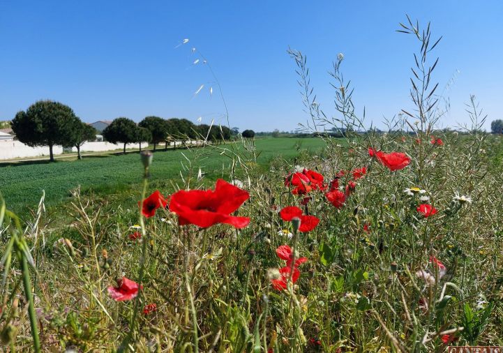 vente Camping Romans Sur Isere