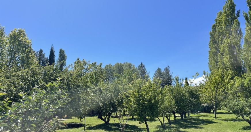 vente Gîte Digne Les Bains